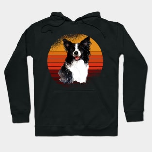 Border collie, dog, dogs, puppy, sheepdog, collie mom gifts Hoodie